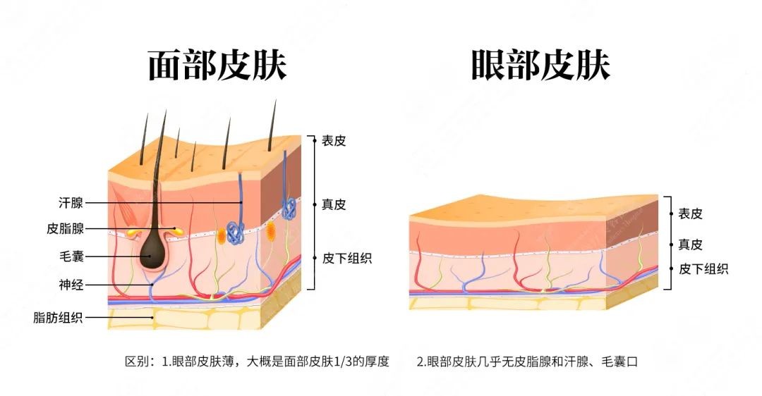 晓姿眼膜累计销售量突破500万个！